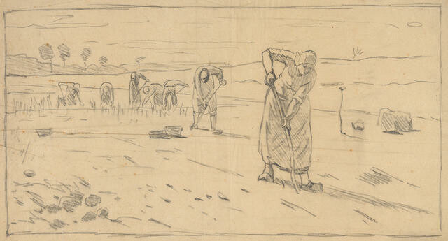 Women Working In The Fields