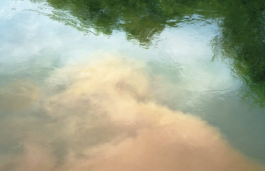 Anne Noble Taranaki Stream, farm runoff (detail) 2023. Digital print, pigment on paper. Collection of Te Rūnanga o Ngāi Tahu