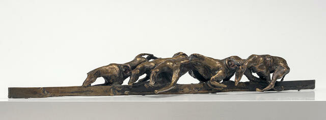 Greyhounds Racing