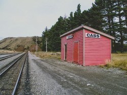 Cass