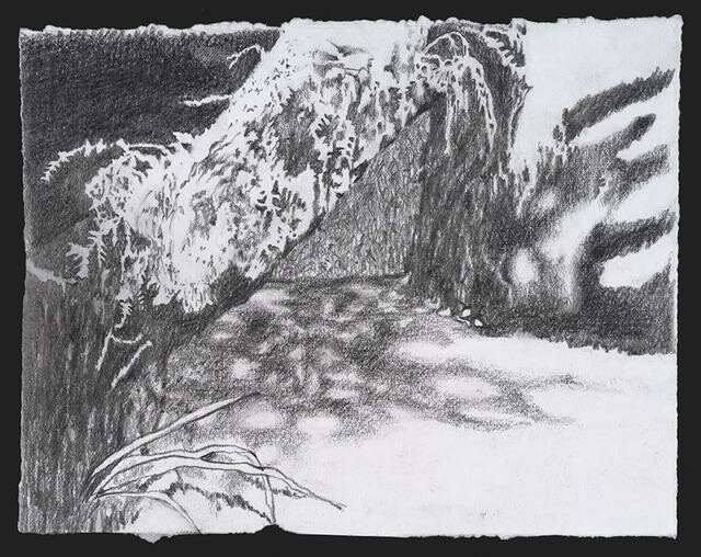 Image: uploads/2026_01/2025_241.jpg