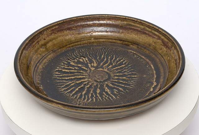 Dish
