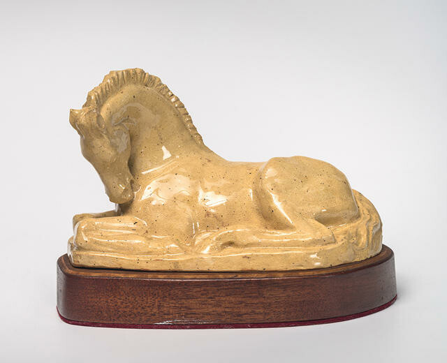 Foal
