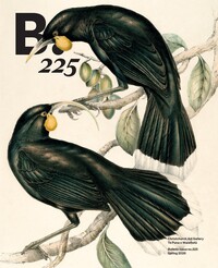 B.225