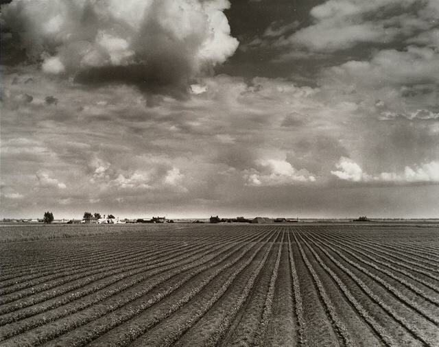 Cambridgeshire Fens