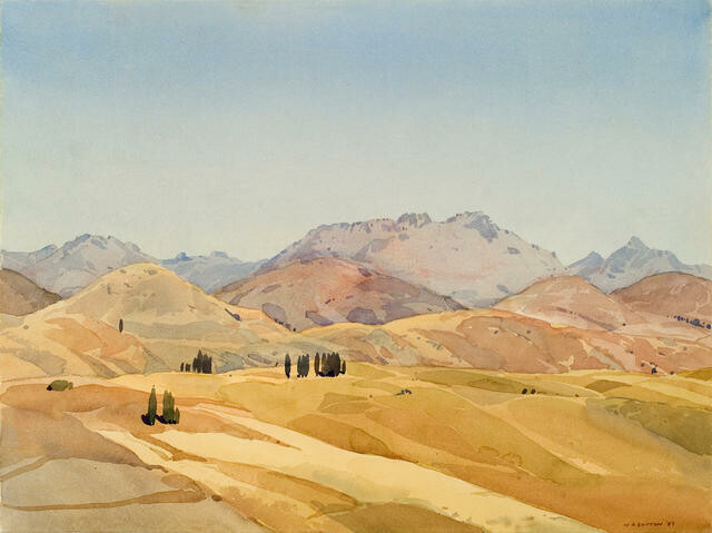Dry Pastures near Wakatipu