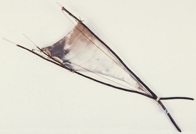 Shimmer - Topsail Form