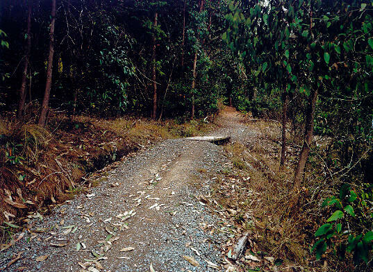 Image: uploads/2026_03/2004_54_b.jpg