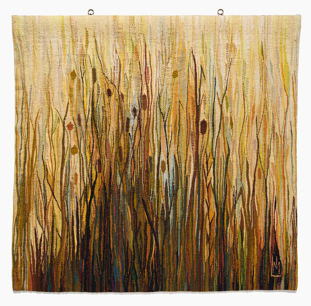 Ida Lough - Water Grasses