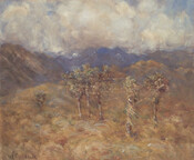 Cabbage Trees, Clarence Valley, Kaikoura