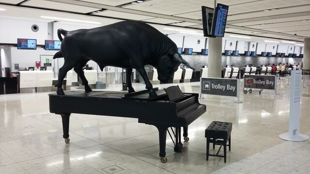 At Christchurch Airport, October 2015