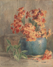 Wallflowers