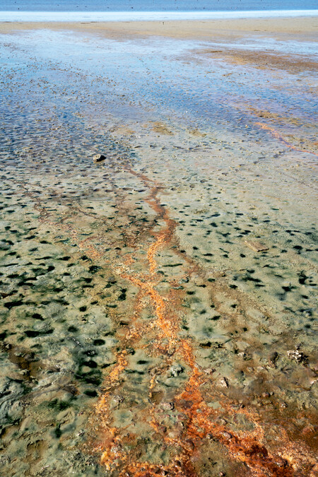Anne Noble Toxic leachate from an old landfill at Pleasure Bay, Invercargill. This is one of the many contaminated sites and waterways that feed into Kōreti New River Estuary 2023. Digital print, pigment on paper. Collection of Te Rūnanga o Ngāi Tahu