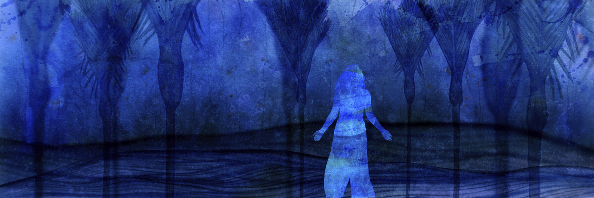 Late Night Tour Christchurch Art Gallery Te Puna O Waiwhetū