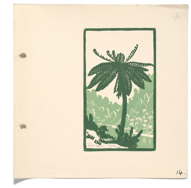 Tree Fern
