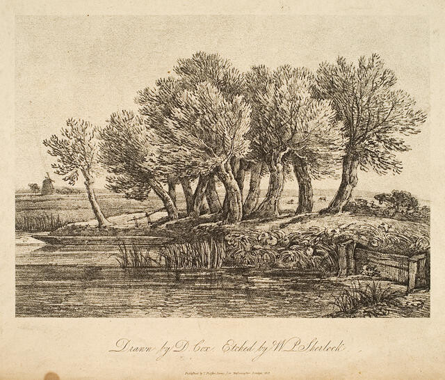 Trees In Landscape With Canal and Windmill