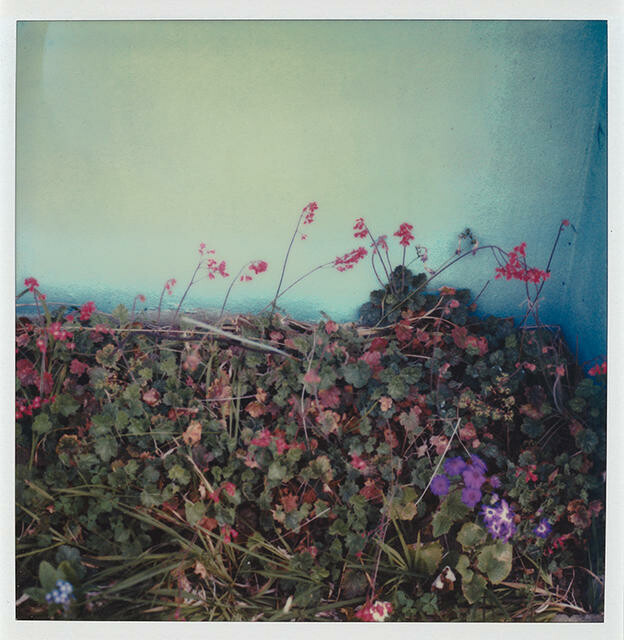 Blue Wall, 1981