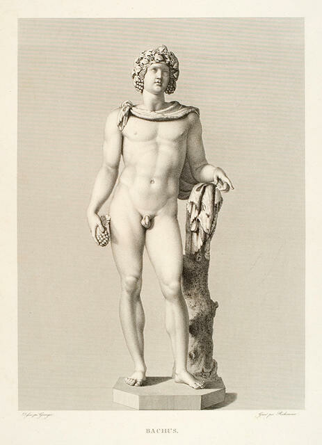 Bachus