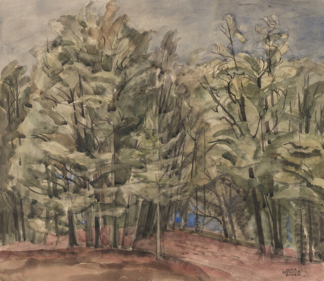 Beeches