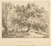 Kings Walden Park, Herts.