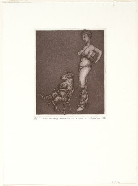 Small Bull Being Tormented By A Lady