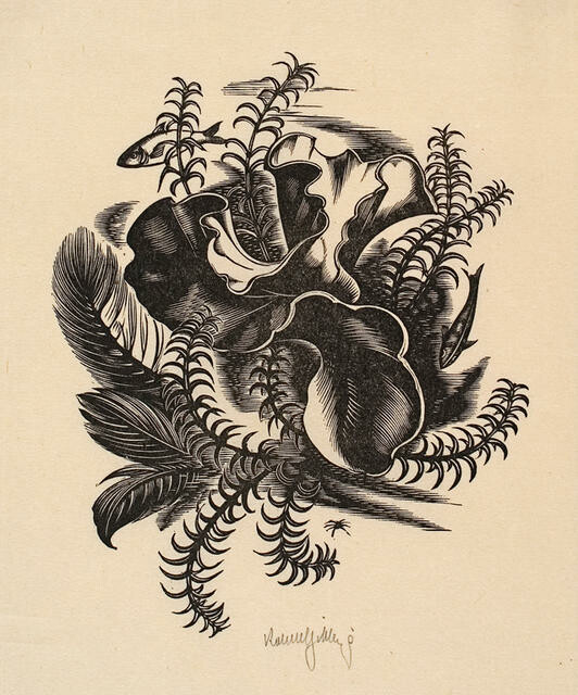 Untitled (Underwater plants and fish)