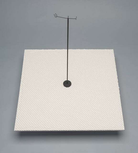 St Bathans heron, Matuku otagoense