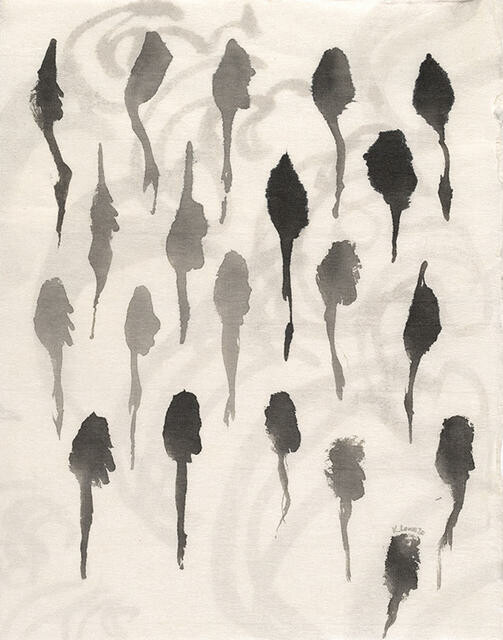 Image: uploads/2026_02/l01_20215E09-12.jpg