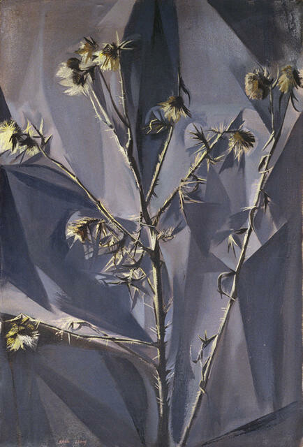 Dead Thistle