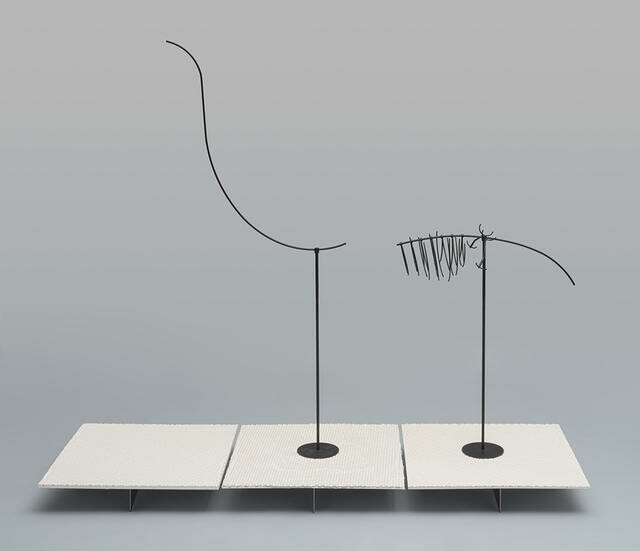 Heavy-footed moa, Pachyornis elephantopus