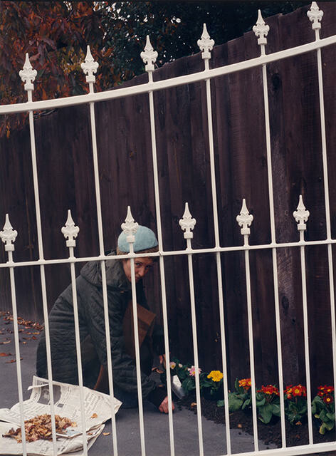 Image: uploads/2026_01/2022_054_orig.jpg