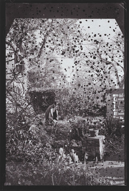 Florence Weir in a Garden, Ōtautahi Christchurch