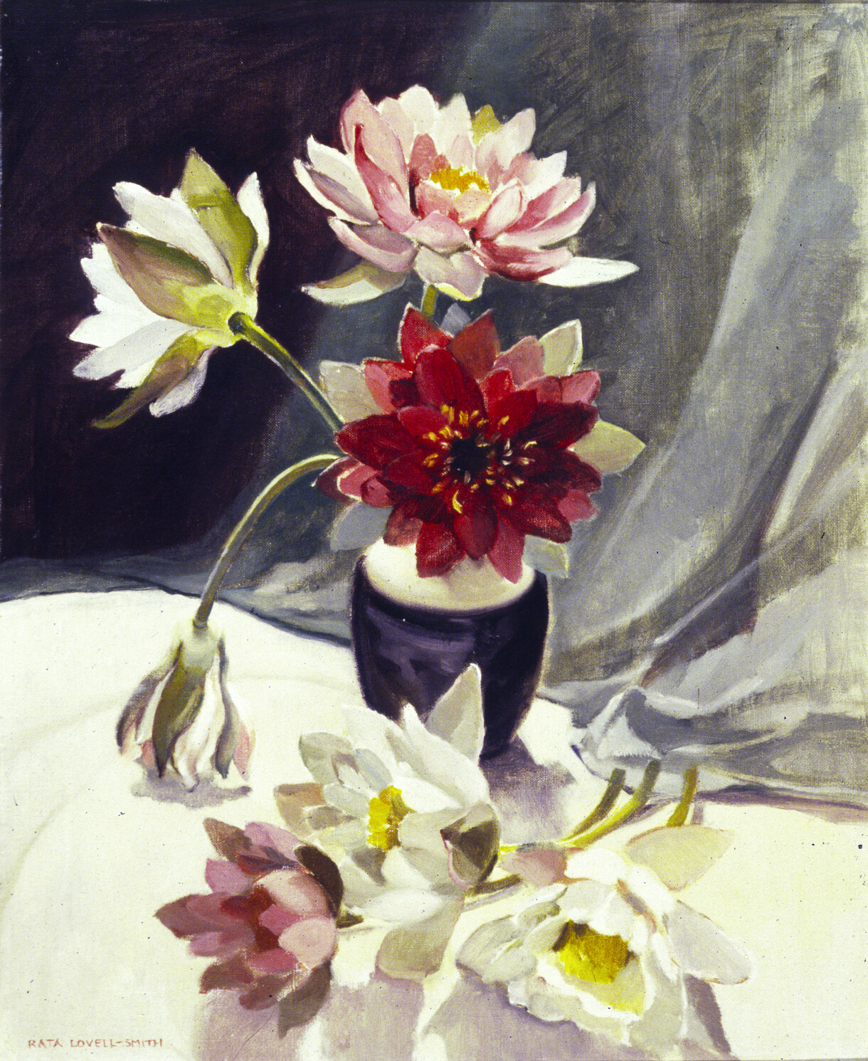 Dorothee Pauli