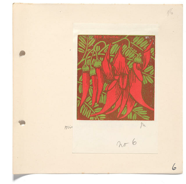 Red Kowhai