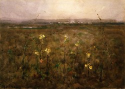 The Moors