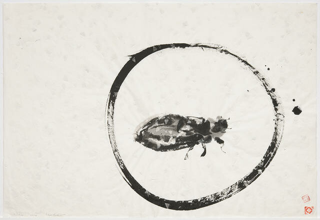 Image: uploads/2025_11/2011_124.jpg