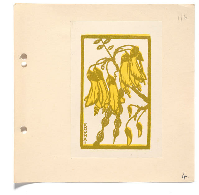 Kowhai
