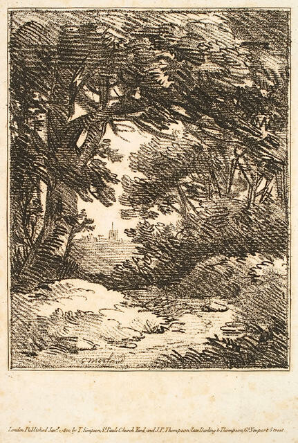 View Through Trees
