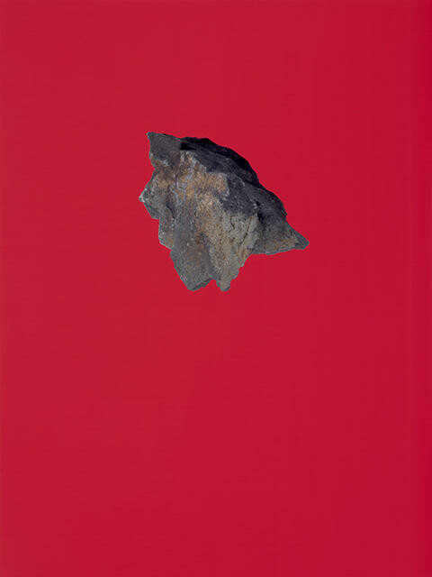 The Accidental Rebels - Red