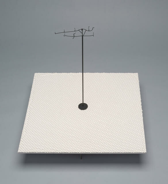 Kohatu shag, Leucocarbo septentrionalis