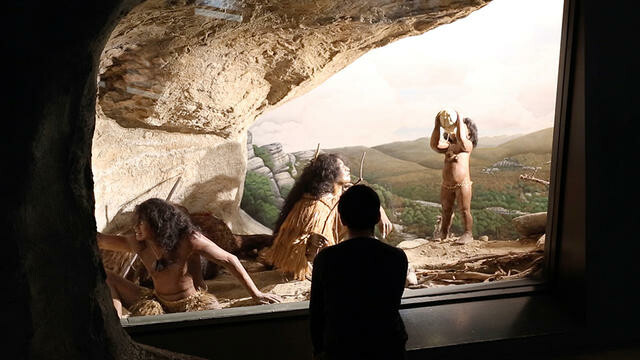 Image: uploads/2026_03/2019_066_view_b.jpg