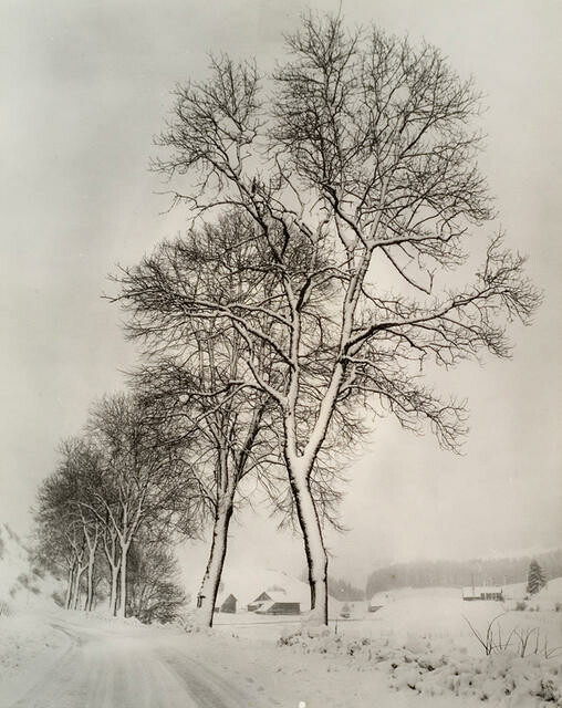 Near Meudon, Switzerland