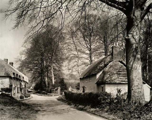 Plush, Dorset