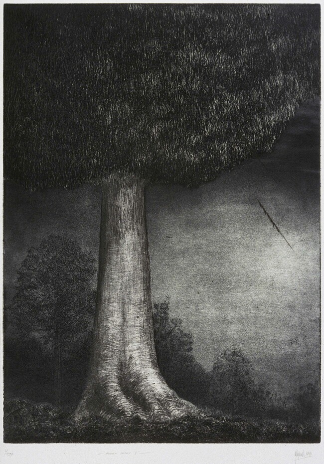Denise Copland Human Impact II 1991. Etching, aquatint. Collection of Christchurch Art Gallery Te Puna o Waiwhetū, purchased 1993