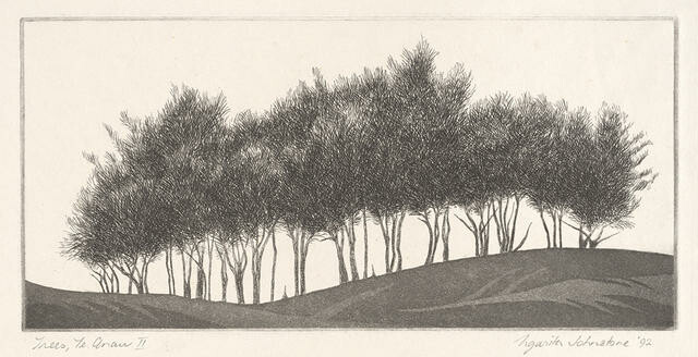 Trees, Te Anau II