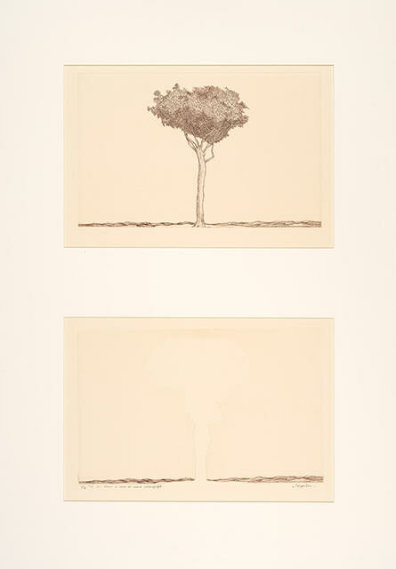 From A Tree At Oaro