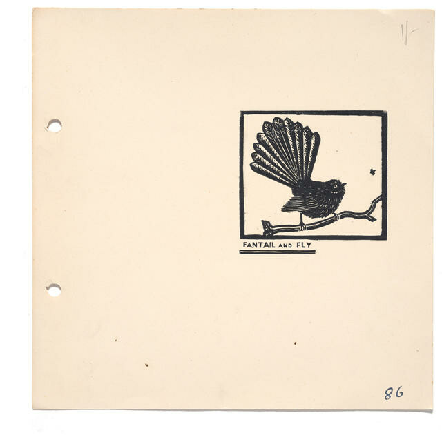 Fantail and Fly