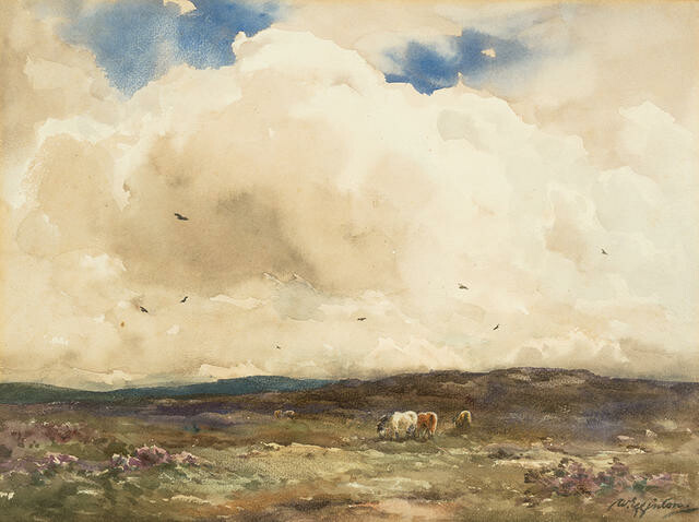 A Cloudy Day Princetown Dartmoor
