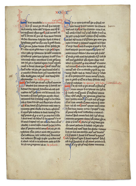 Leaves from Summa de vitiis