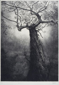 If a tree falls in a forest